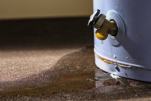 Best Water damage contractors near me  in Marbleton, WY