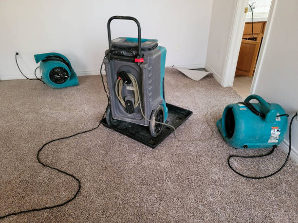 Best Flood restoration services  in Marbleton, WY