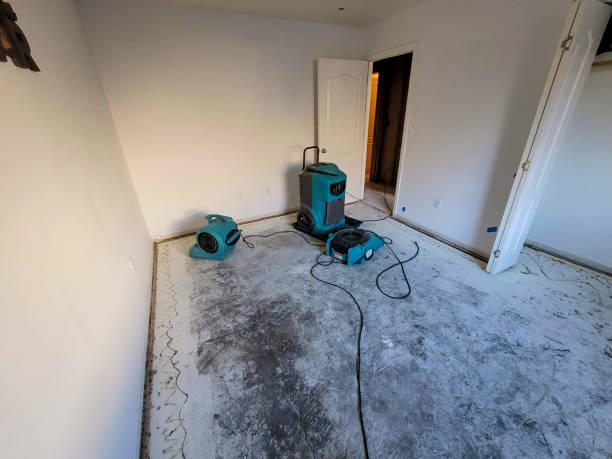 Best Ceiling water damage repair  in Marbleton, WY