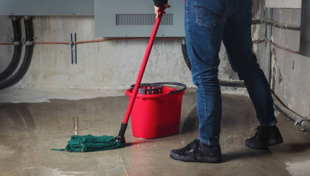Best Basement water damage restoration  in Marbleton, WY