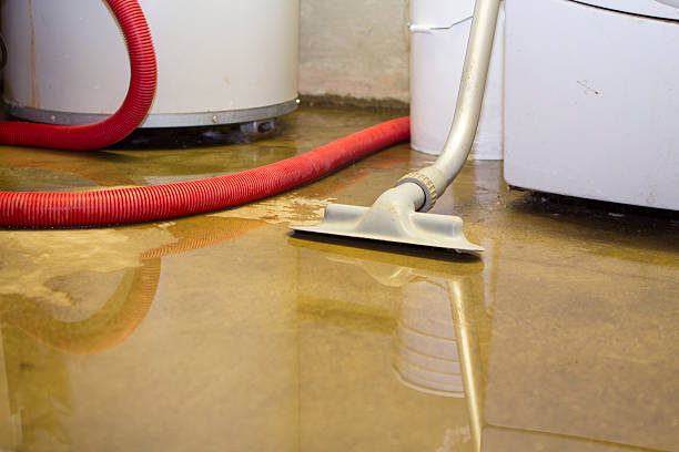 Best Professional water damage repair  in Marbleton, WY