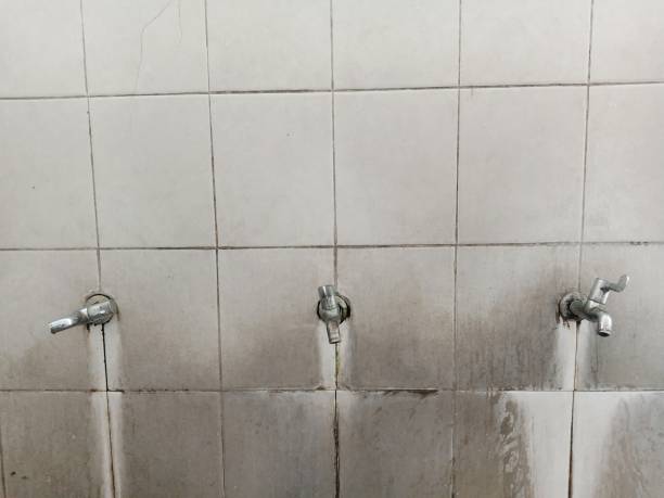 Best Flood damage cleanup  in Marbleton, WY