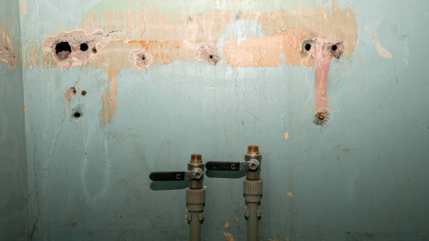 Best Flood damage cleanup  in Marbleton, WY