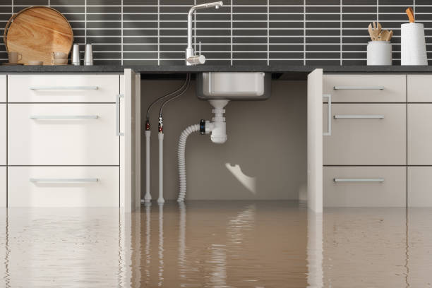 Best Water damage restoration near me  in Marbleton, WY