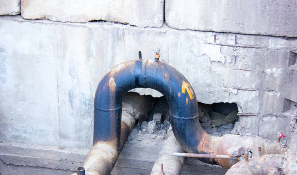 Best Local water damage restoration  in Marbleton, WY