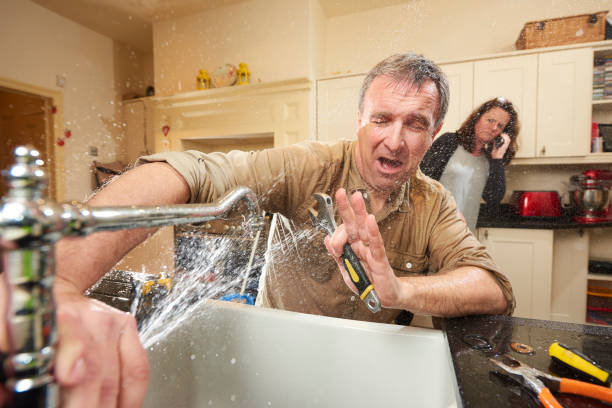 Best Basement water damage restoration  in Marbleton, WY